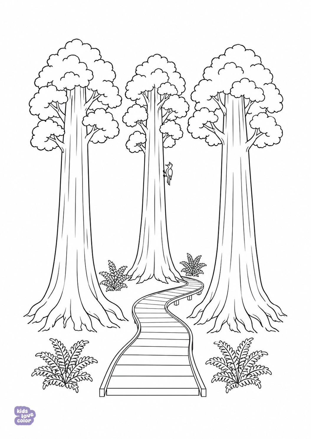 Gratis kleurplaat van een houten wandelpad tussen drie reuzenmammoetbomen