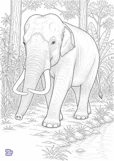 Kleurplaat voor Wereldolifantendag met een Aziatische olifant